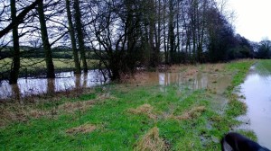 Sor Brook flooding Jan 2014